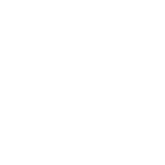 vida